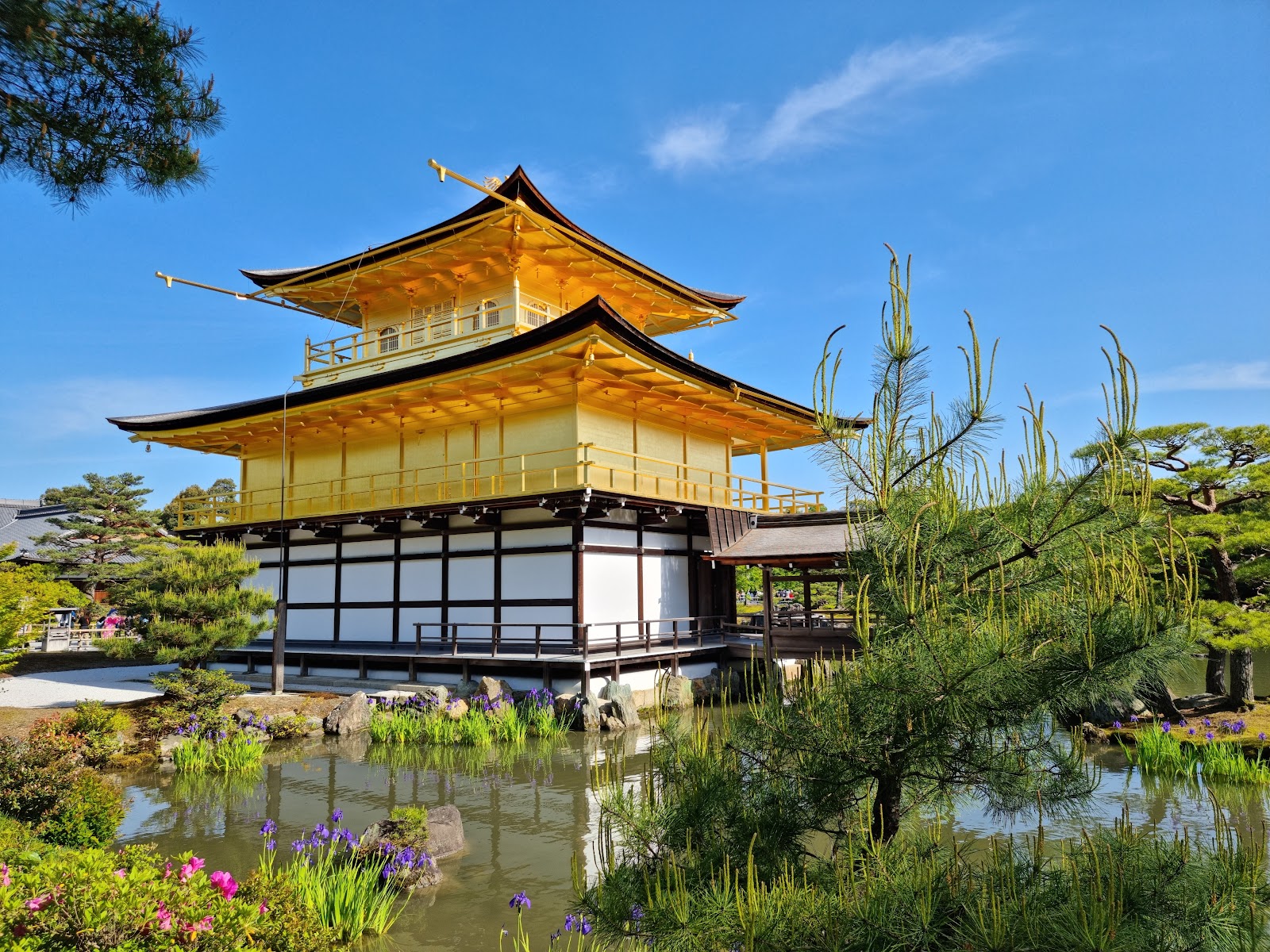 Picture of Visit Kinkaku-ji, the Golden Pavilion