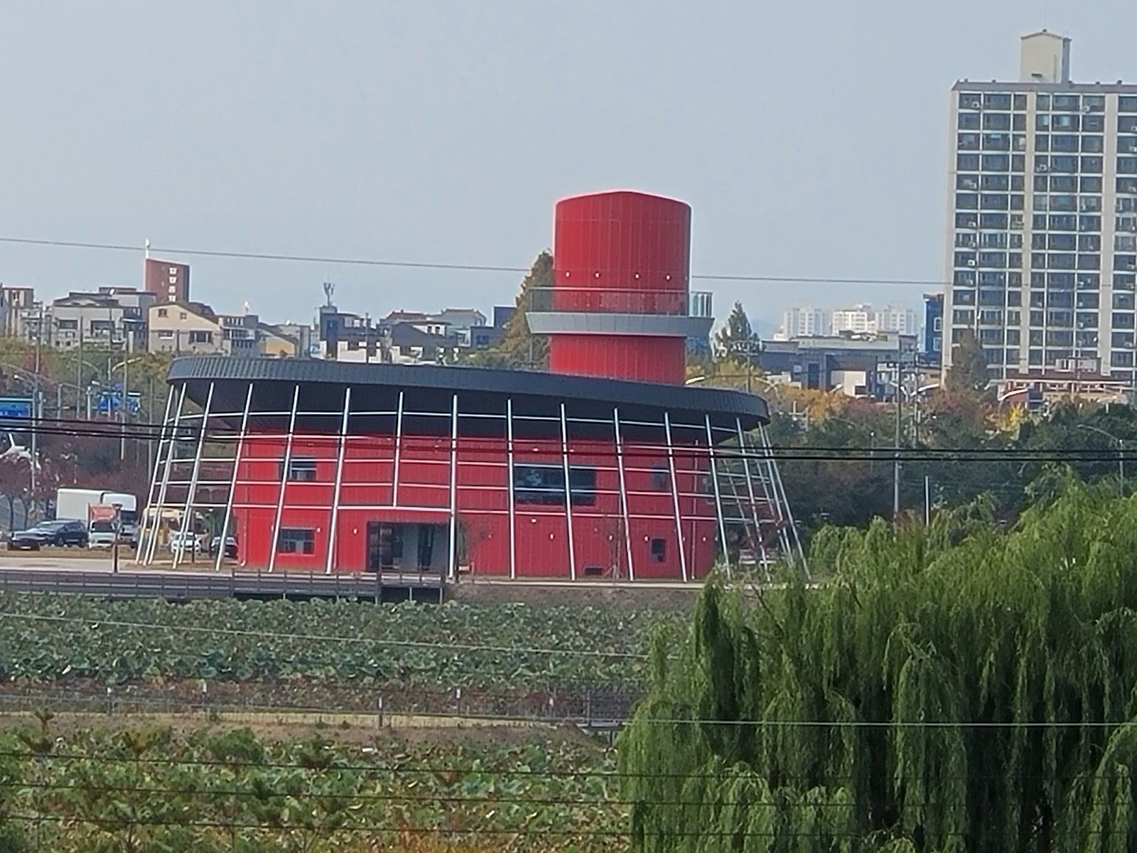 Picture of Attend the Gyeongsan Cherry Blossom Festival