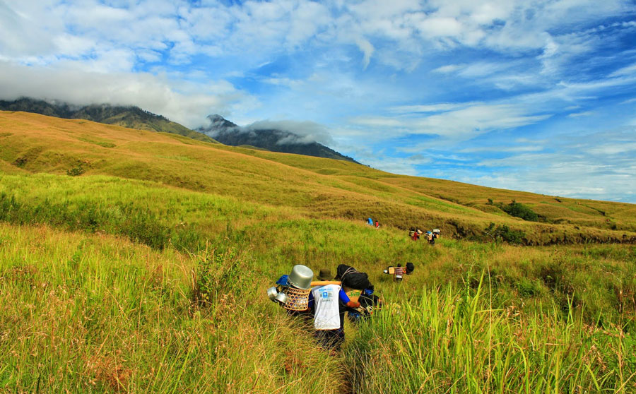 Picture of Trekking Mount Rinjani