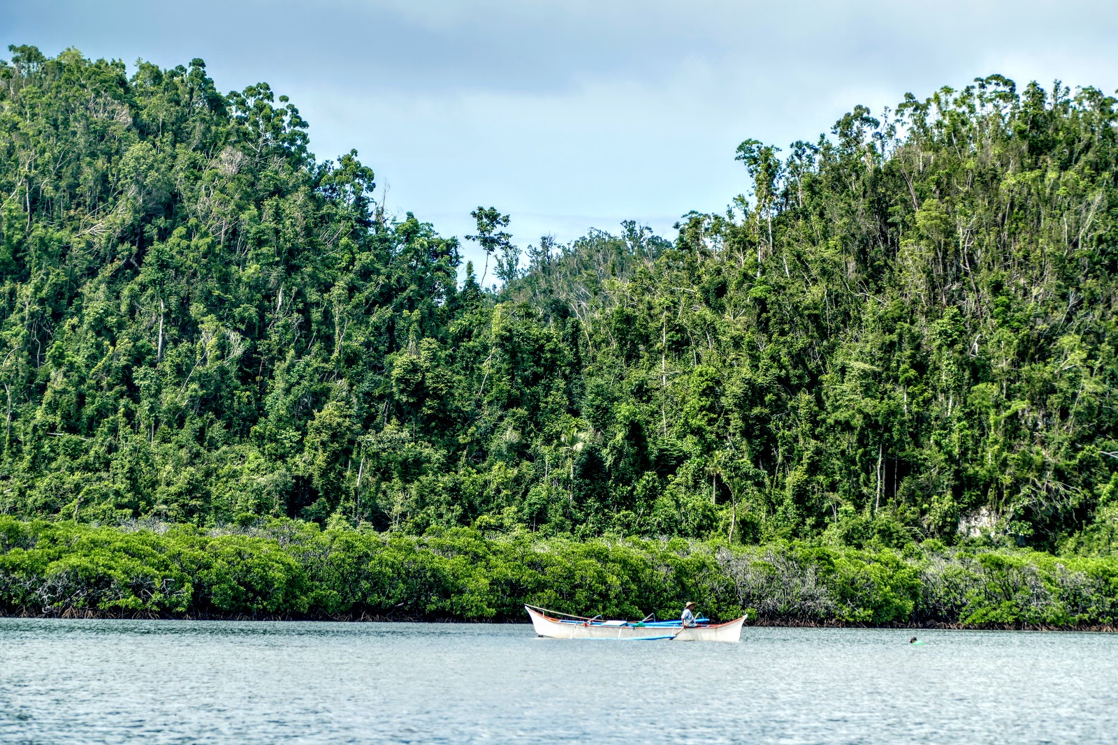 Picture of Explore the Mangrove Forest Reserve