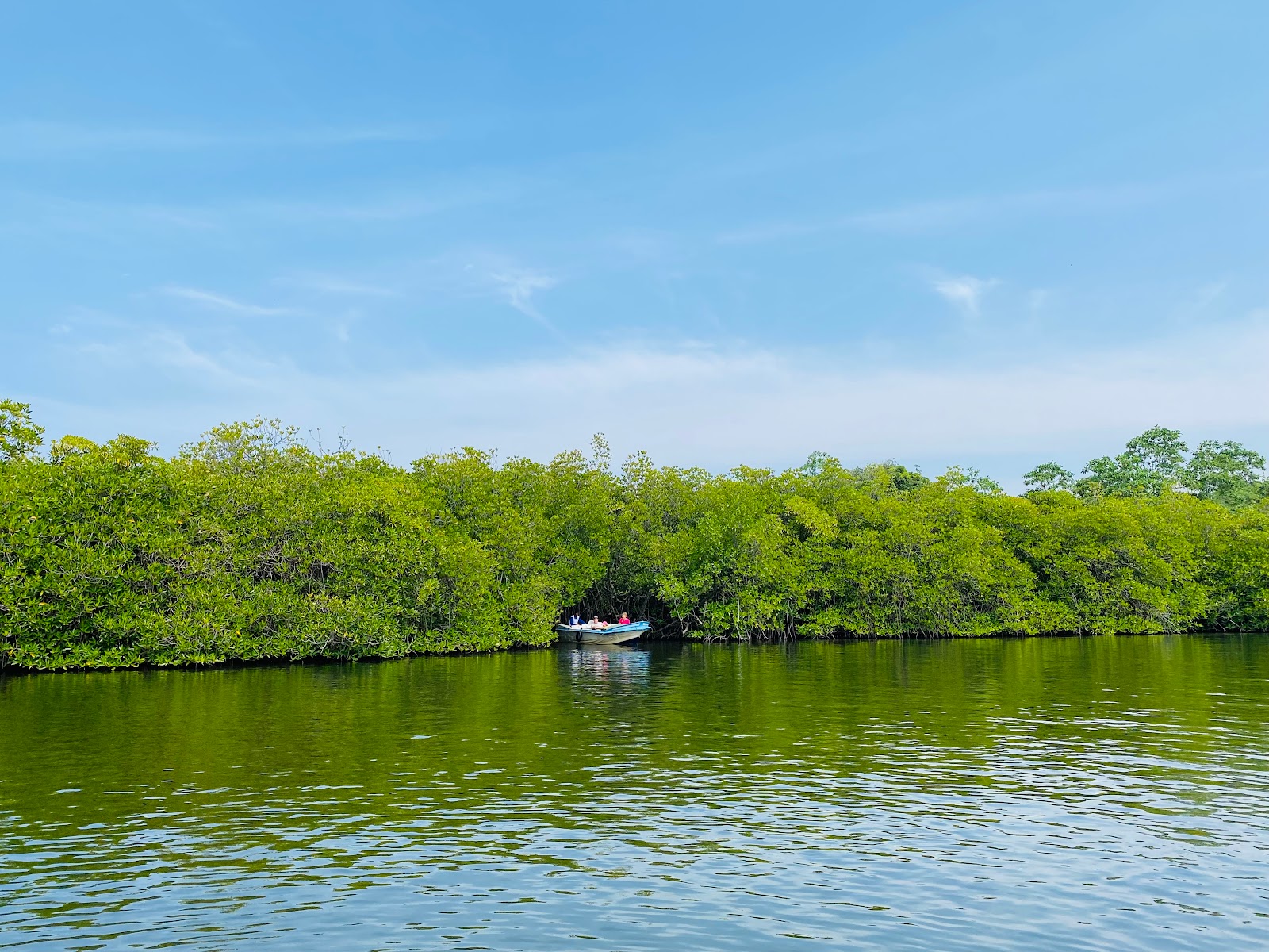 Picture of Take a River Safari on the Madu Ganga