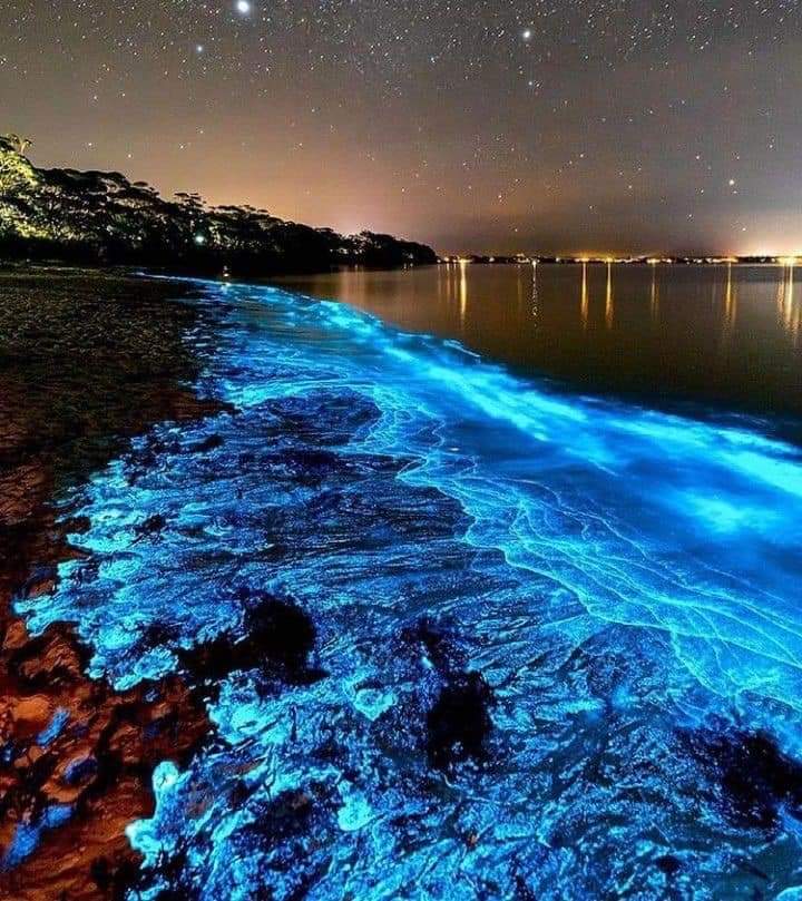 Picture of Experience Bioluminescent Bays