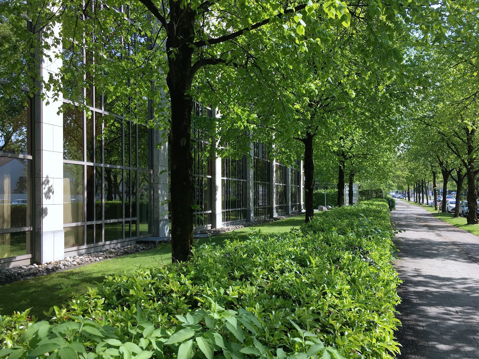 Picture of Uncover Hidden Cafés in Schwabing