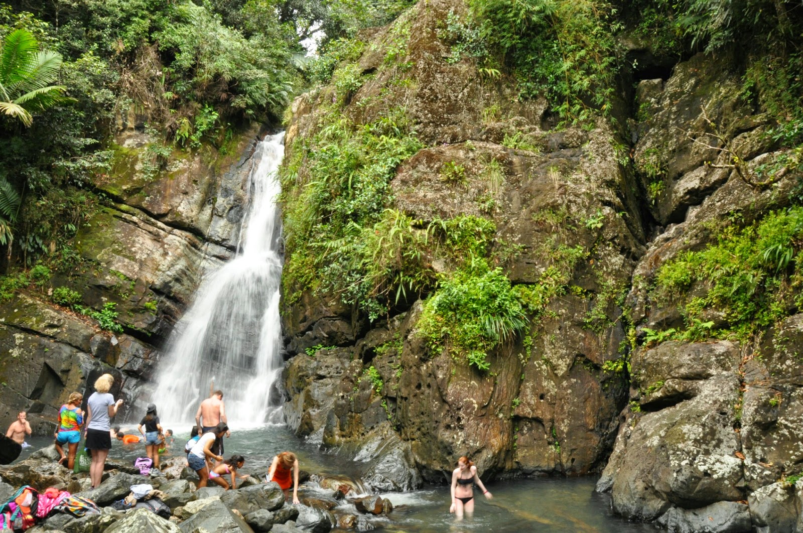 Picture of Hike to El Yunque National Forest