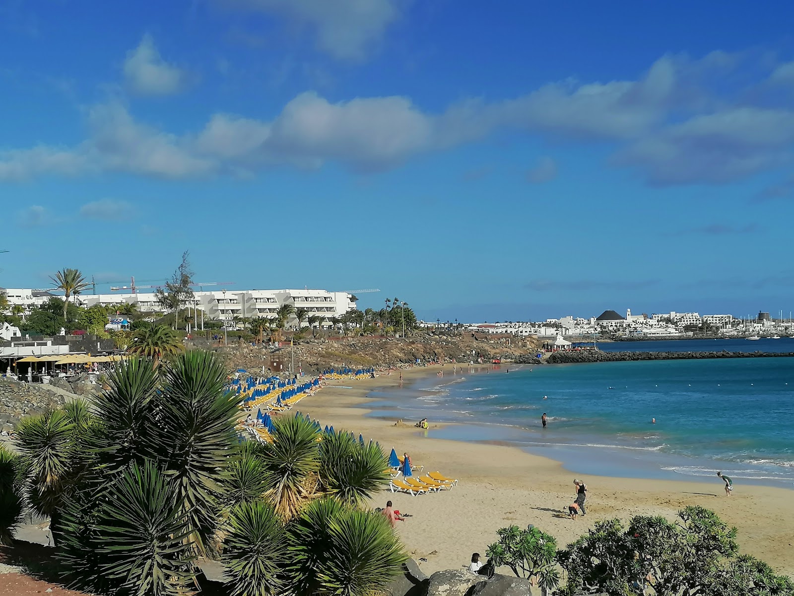 Picture of Savor the Flavors of Lanzarote