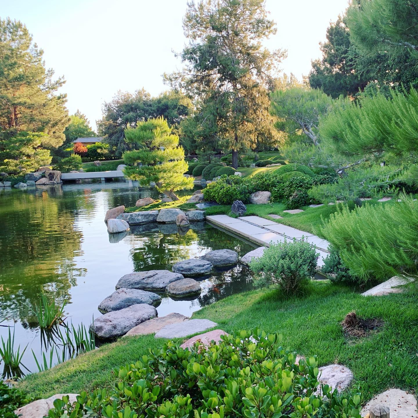 Picture of Relax at the Japanese Friendship Garden