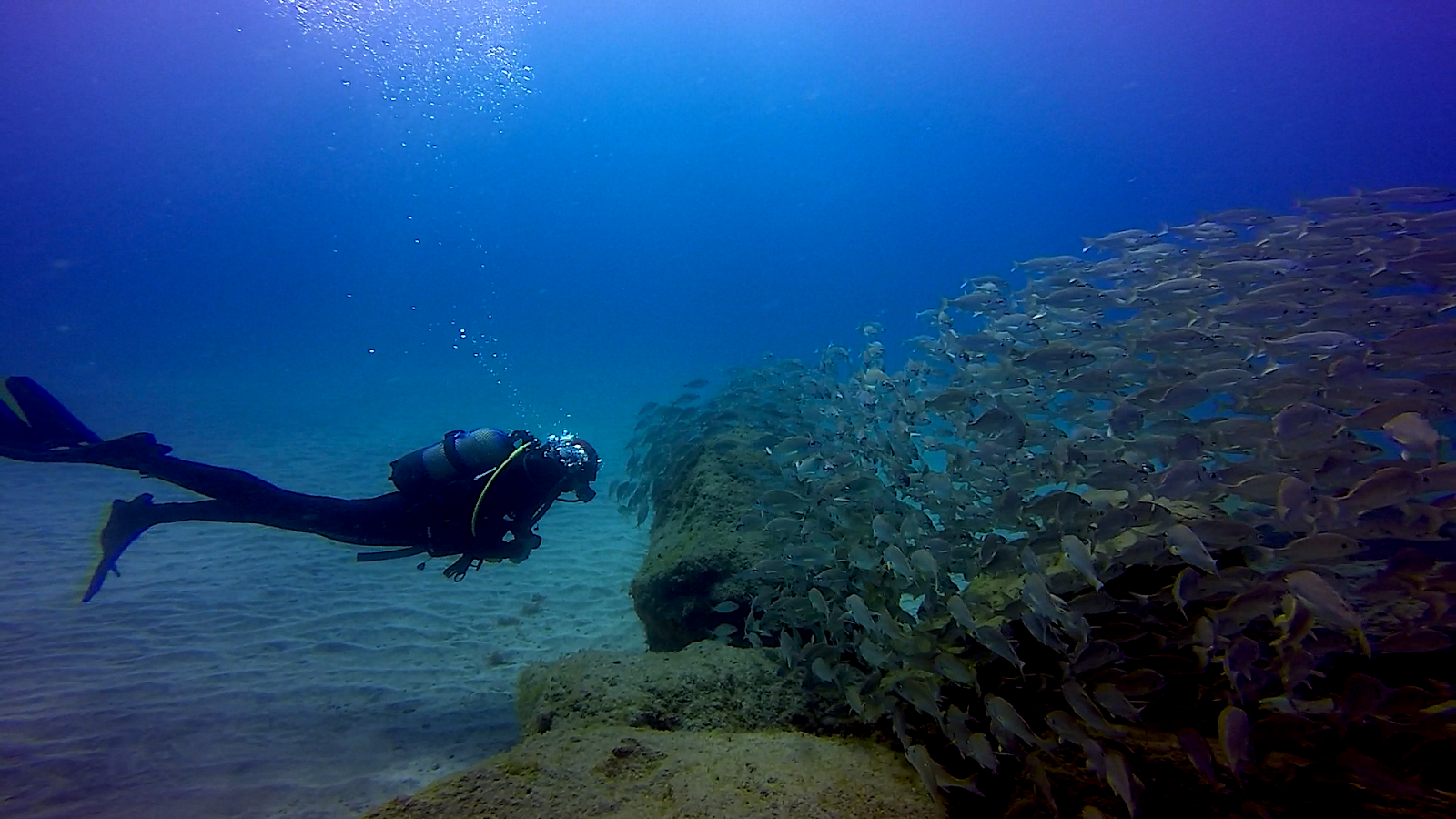 Picture of Dive into the Underwater World