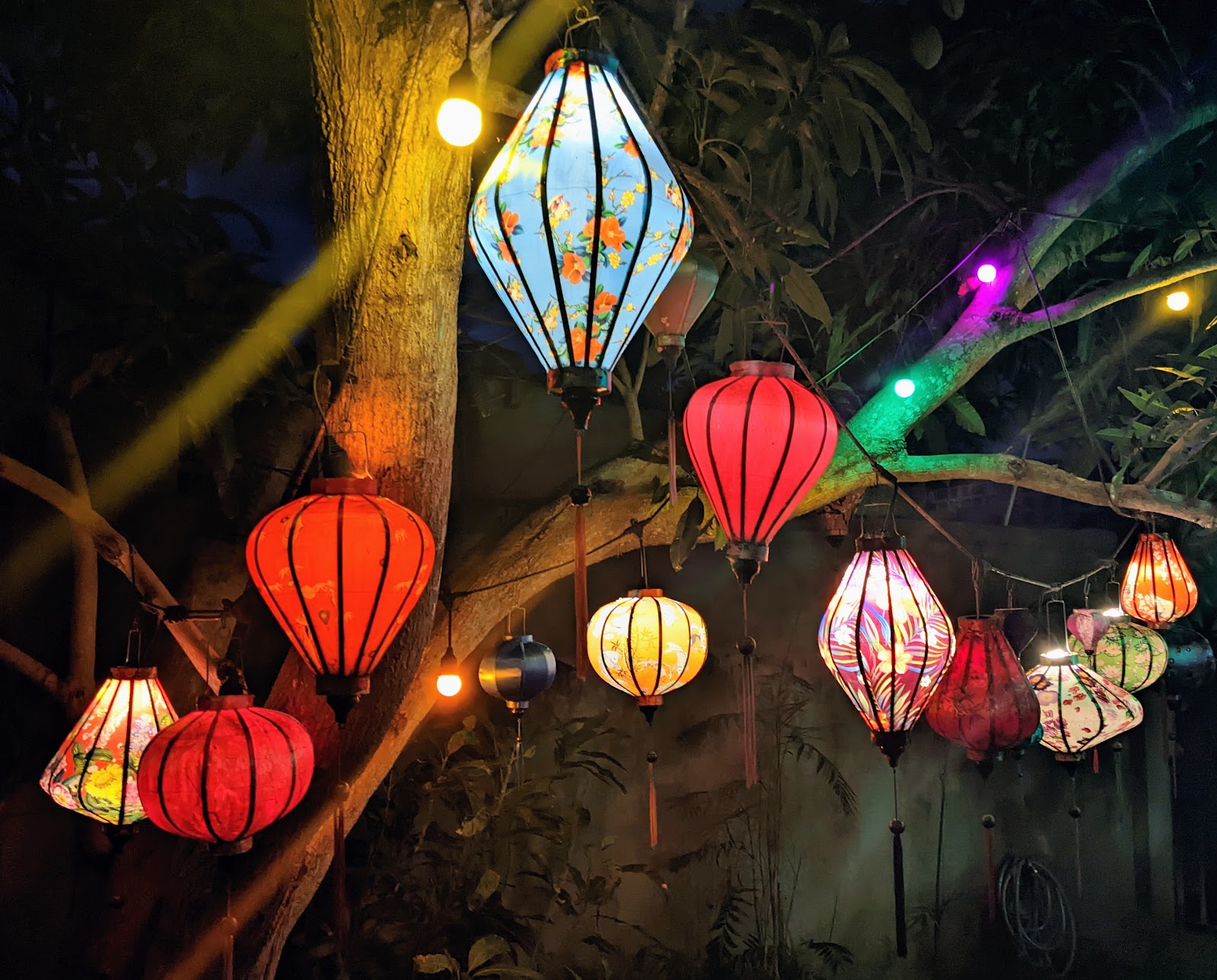 Picture of Immerse Yourself in the Lantern Festival of Hoi An