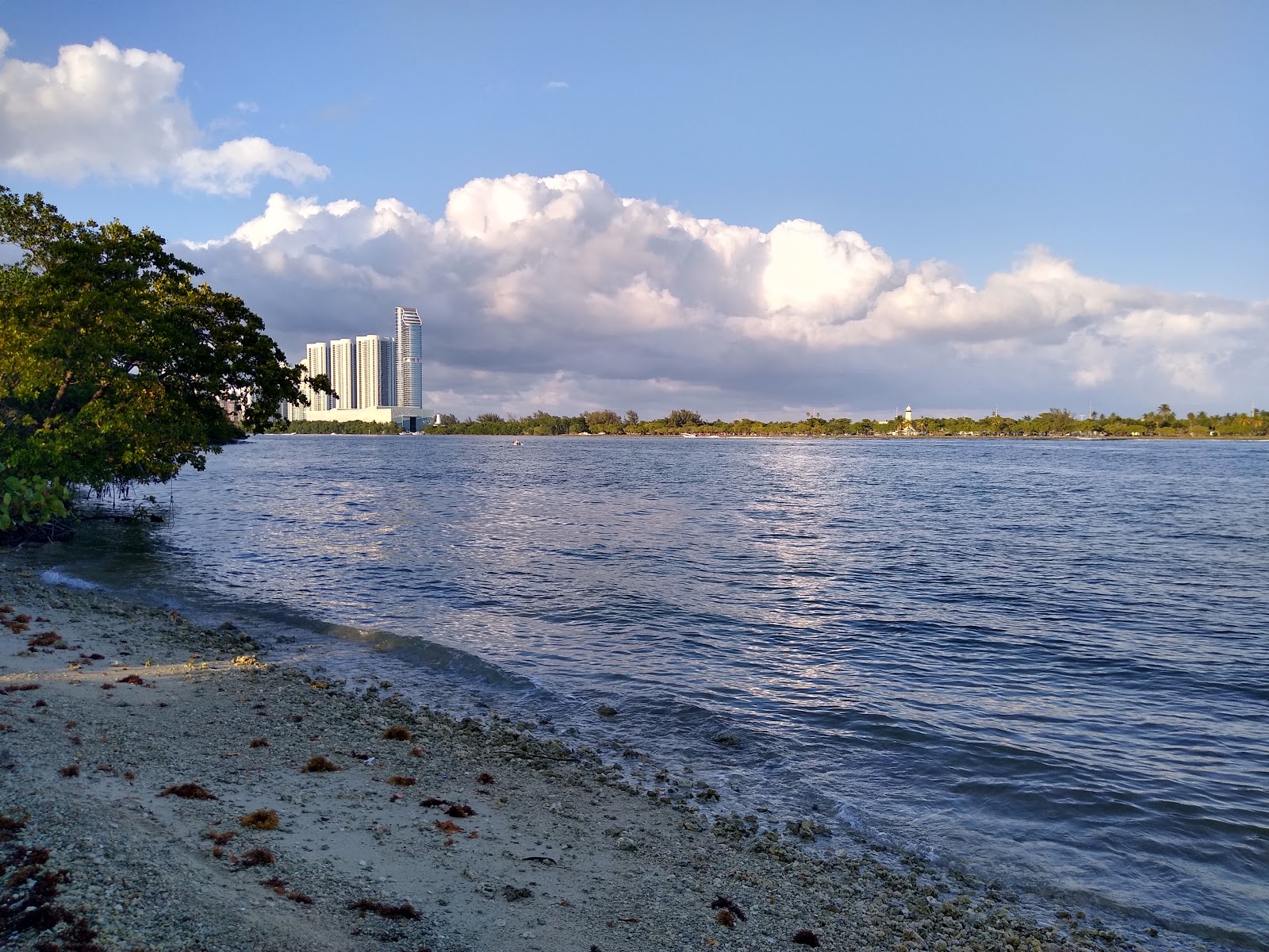 Picture of Kayak Through the Mangroves at Oleta River State Park