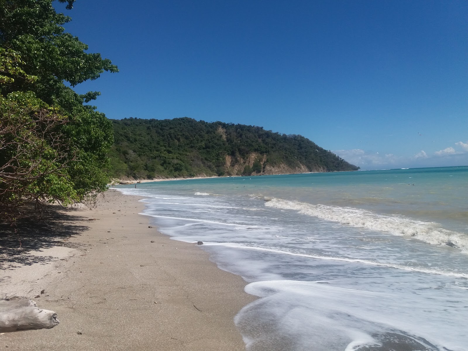 Picture of Exploring Cabo Blanco Nature Reserve