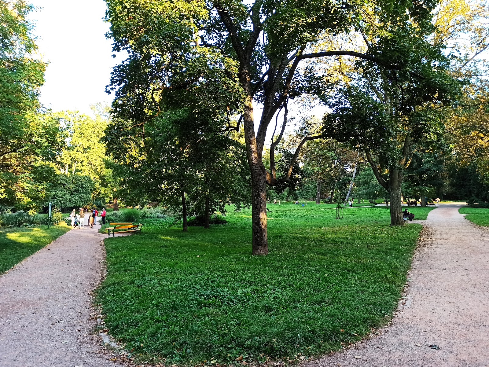 Picture of Take a Leisurely Stroll through Lužánky Park