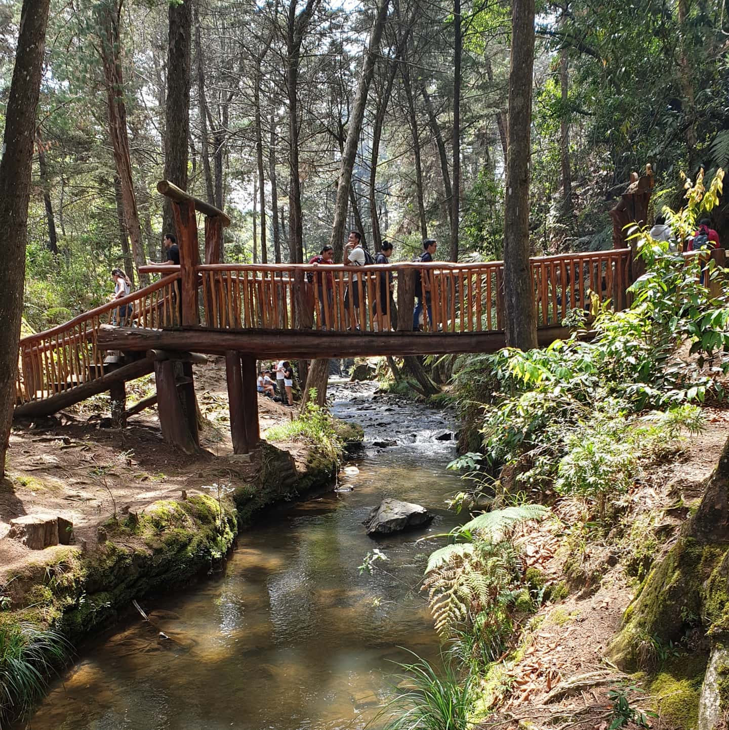 Picture of Immerse Yourself in Nature at Parque Arví