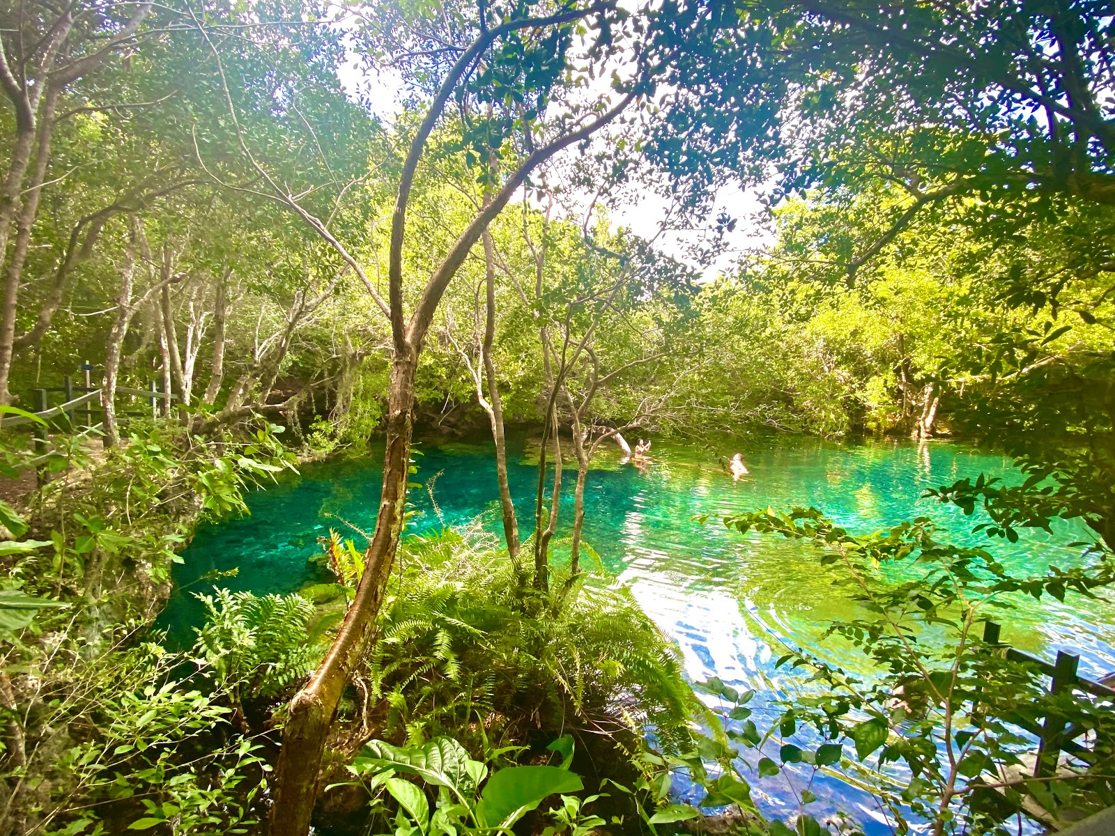 Picture of Explore the Indigenous Eyes Ecological Park