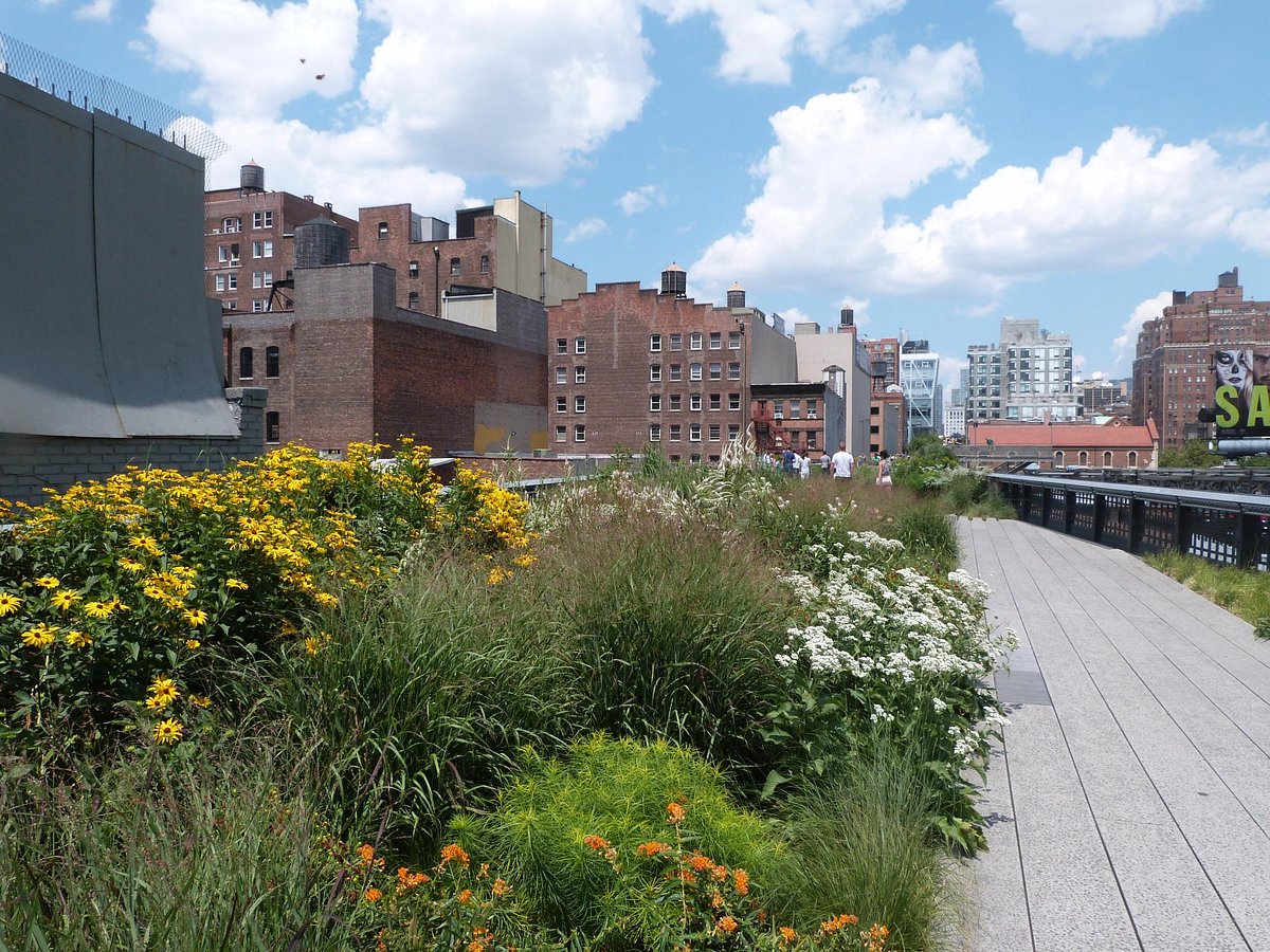 Picture of Explore the High Line