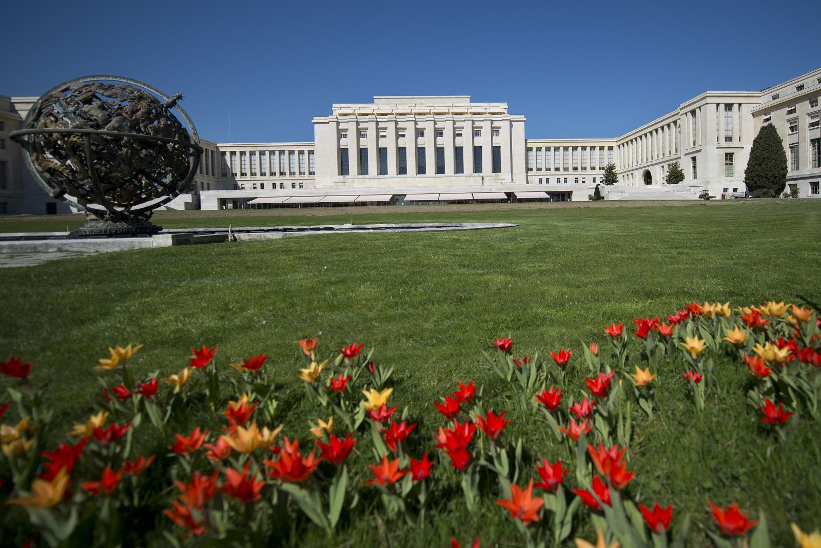 Picture of Visit the United Nations Office