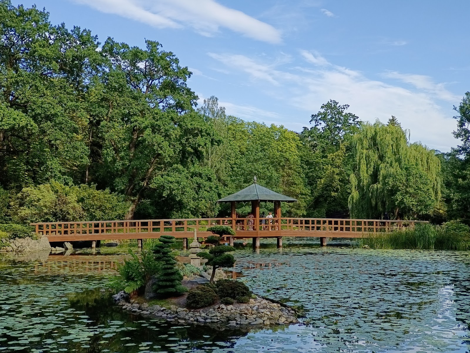 Picture of Relax in the Szczytnicki Park