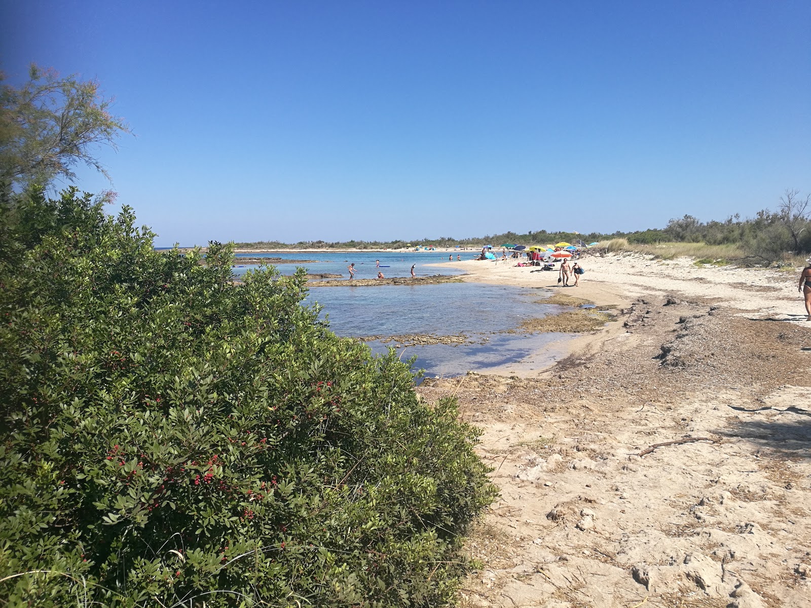 Picture of Wander Through the Natural Reserve of Torre Guaceto