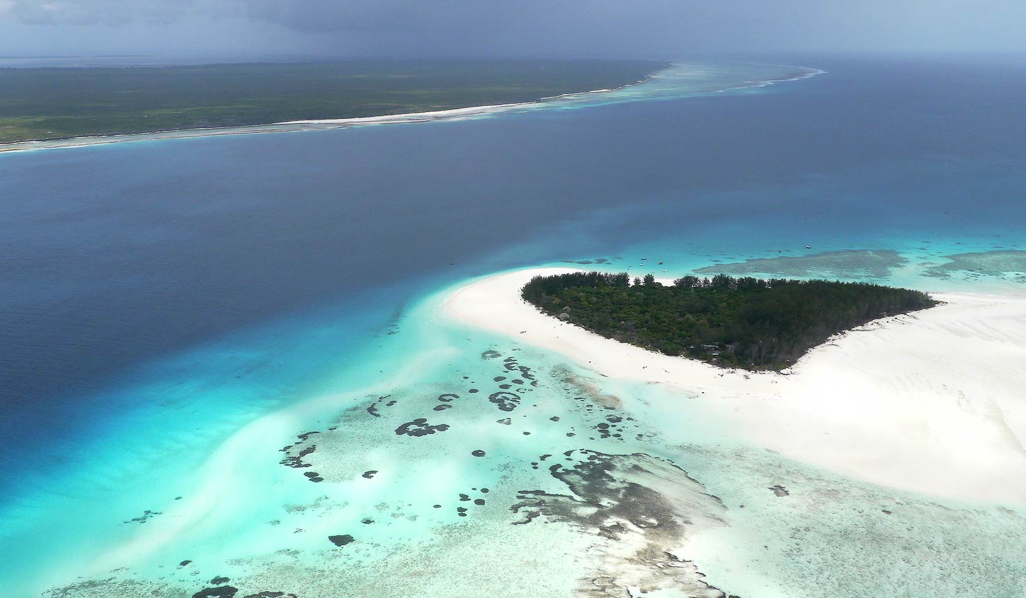 Picture of Dive into the Blue Waters of Mnemba Atoll