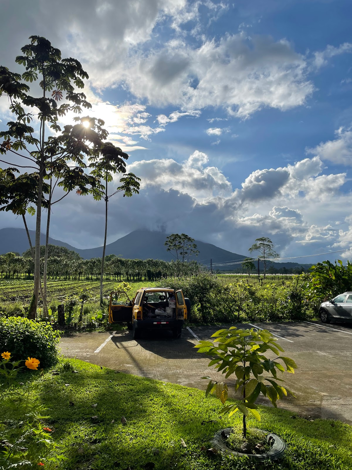 Picture of Take a Coffee Tour