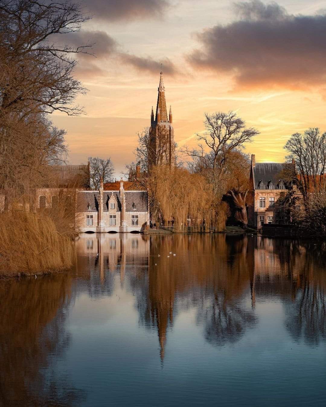 Picture of Discover the Secret Gardens of Bruges