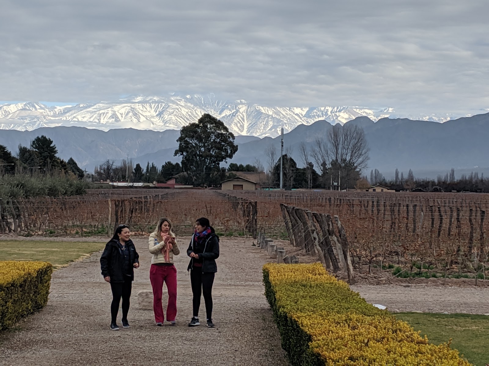 Picture of Explore the Heart of Mendoza's Wine Country