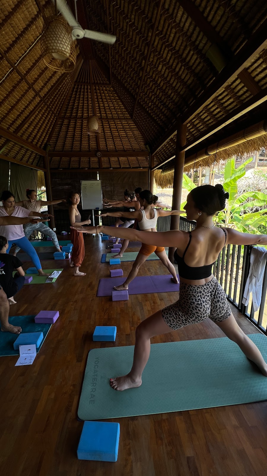 Picture of Take a Yoga Class in a Jungle Setting