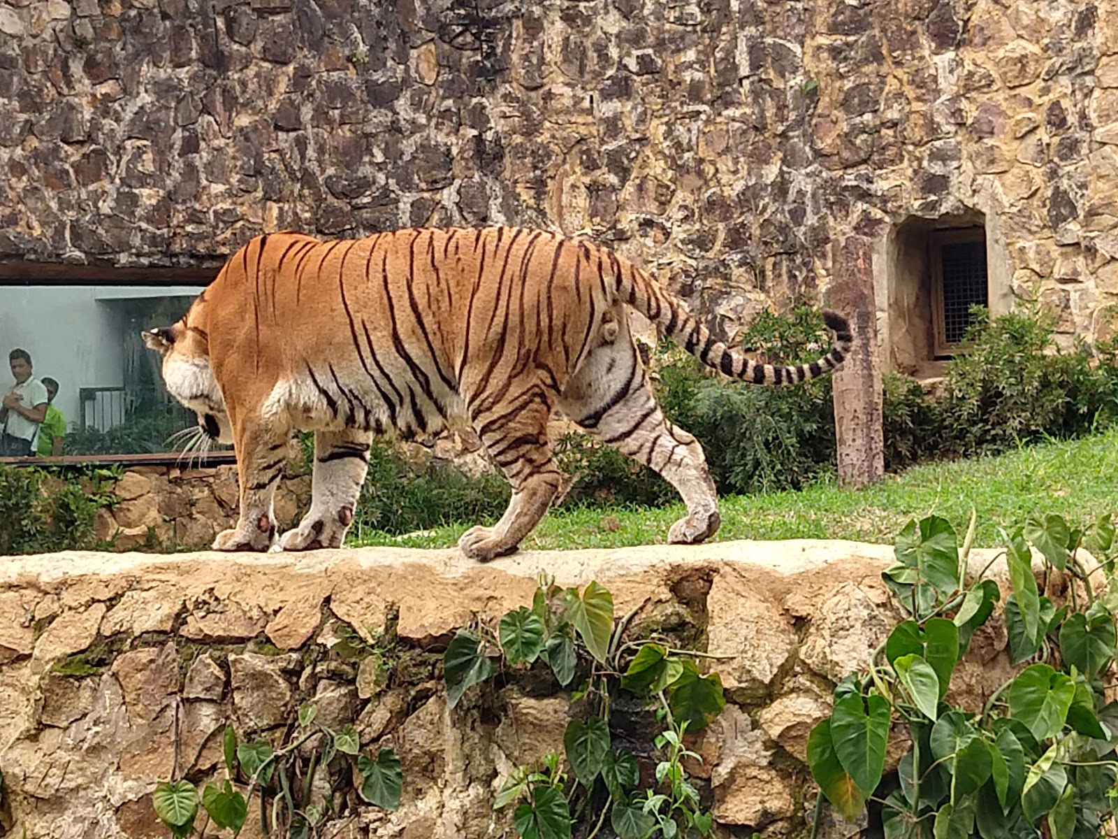 Picture of Discover the Magic of Cali Zoo