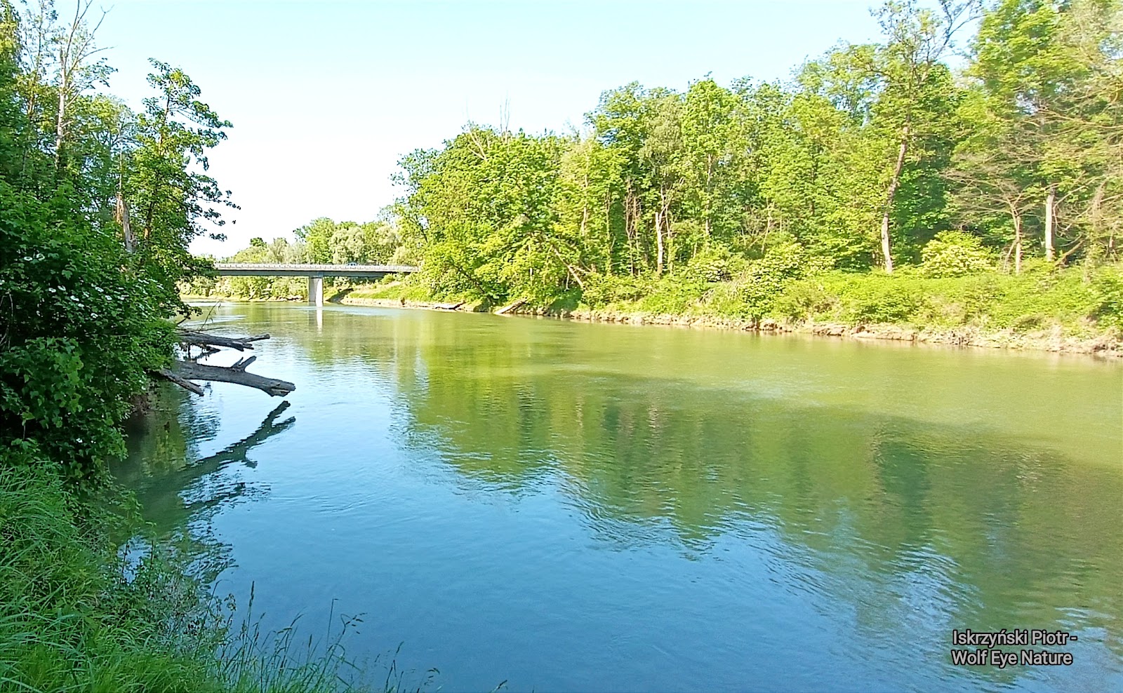 Picture of Stroll Along the Isar River