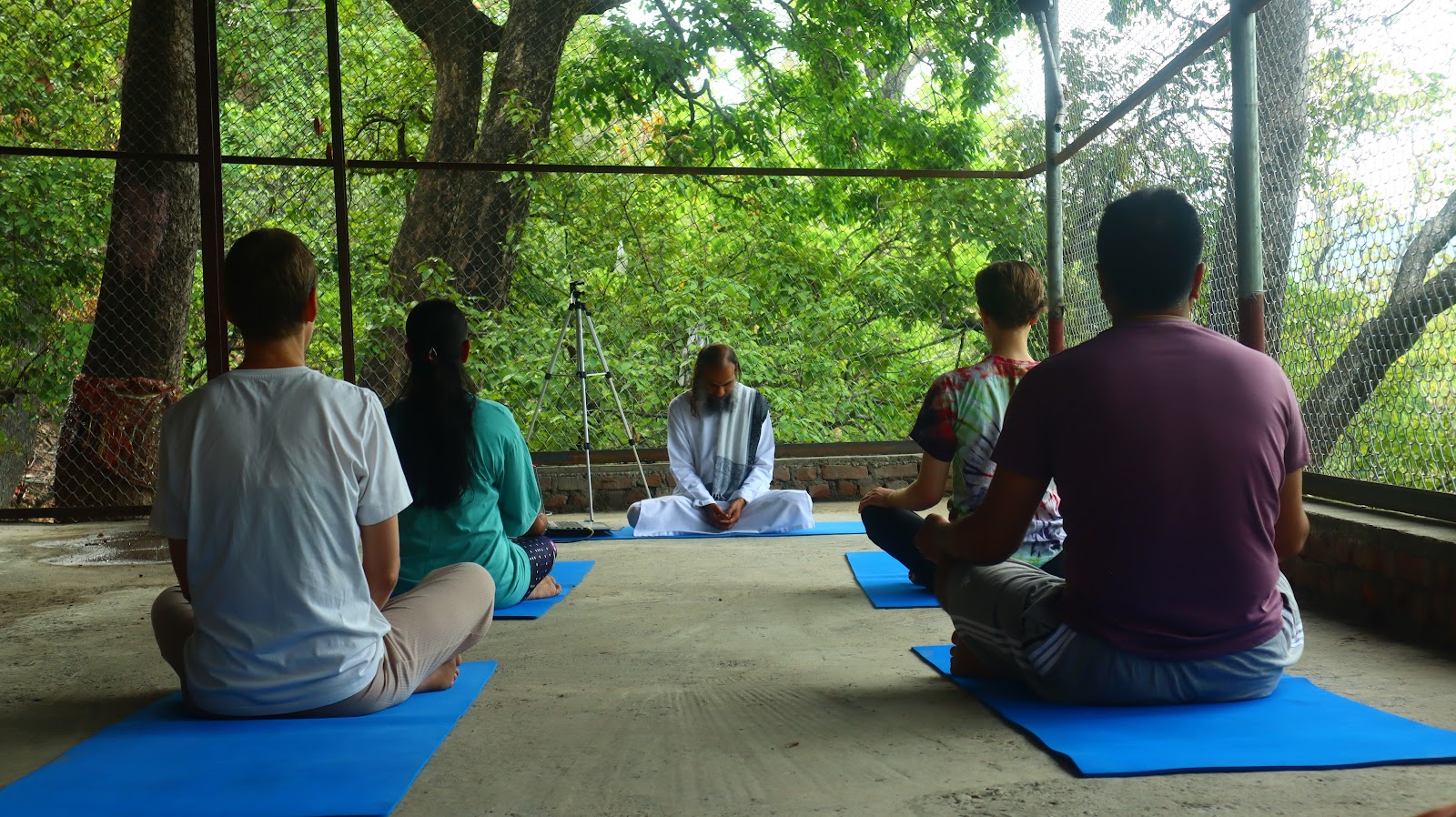 Picture of Yoga and Meditation Retreats