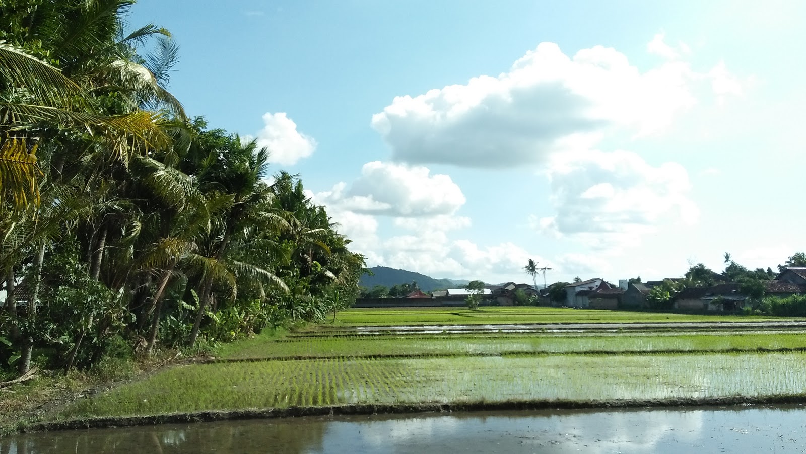 Picture of Discover the Hidden Beaches of Gunung Kidul