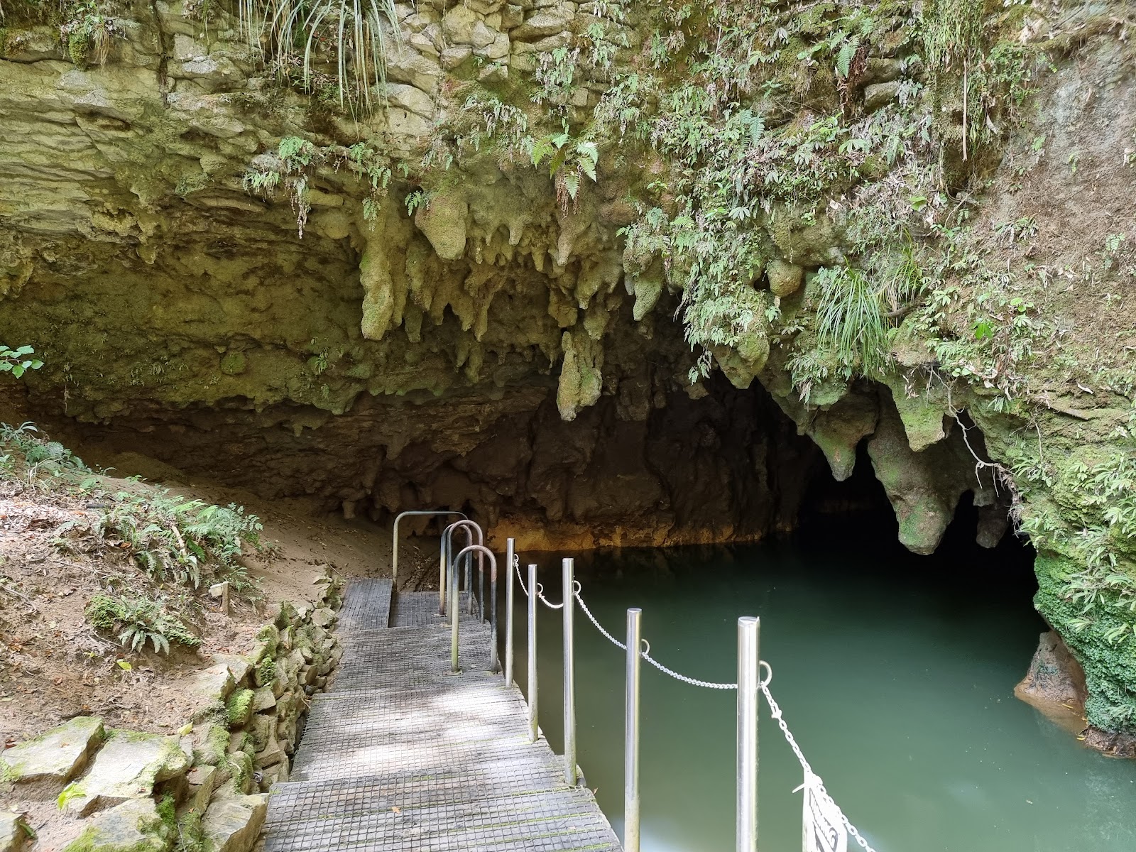 Picture of Explore the Waitomo Glowworm Caves