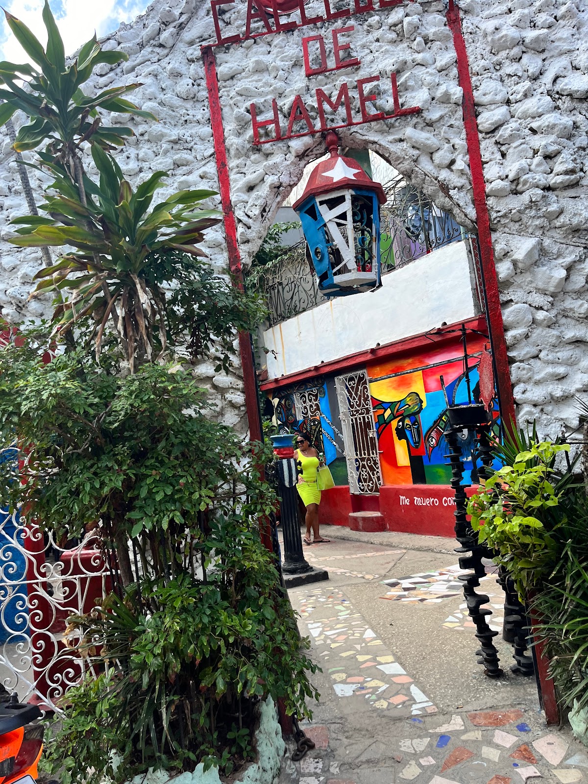 Picture of Explore the Vibrancy of Callejón de Hamel