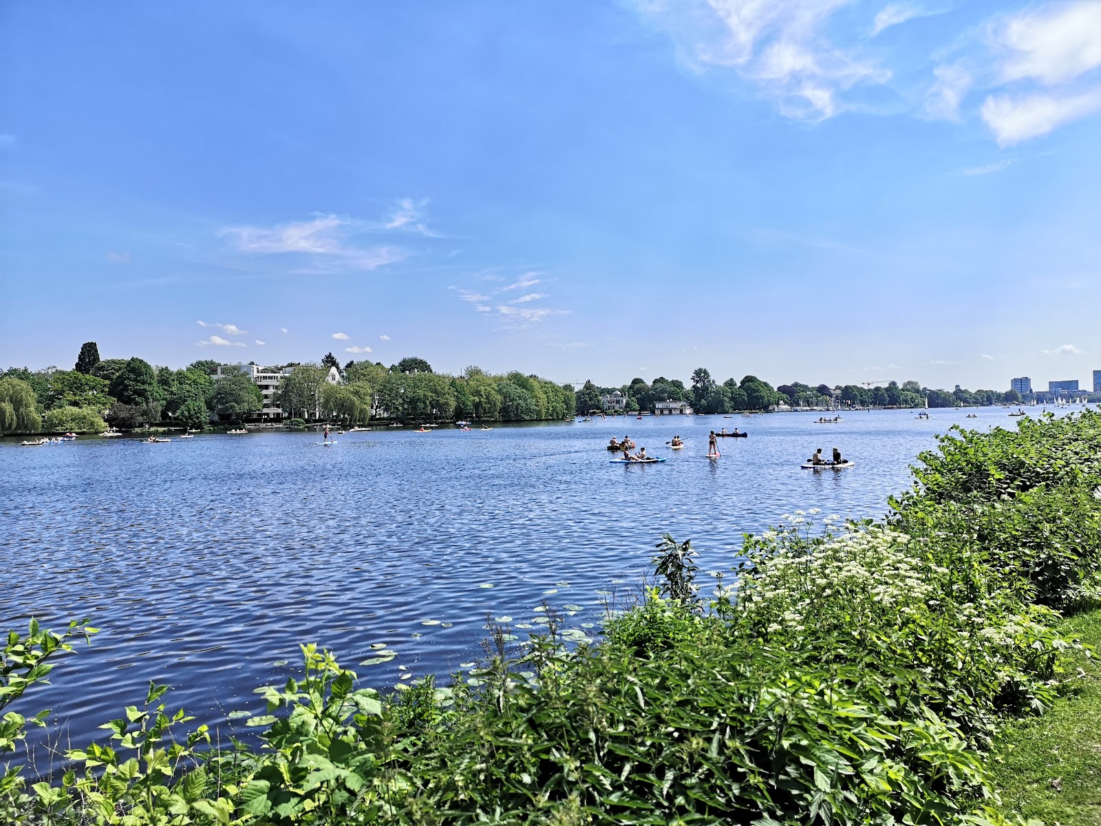 Picture of Alster Lakes