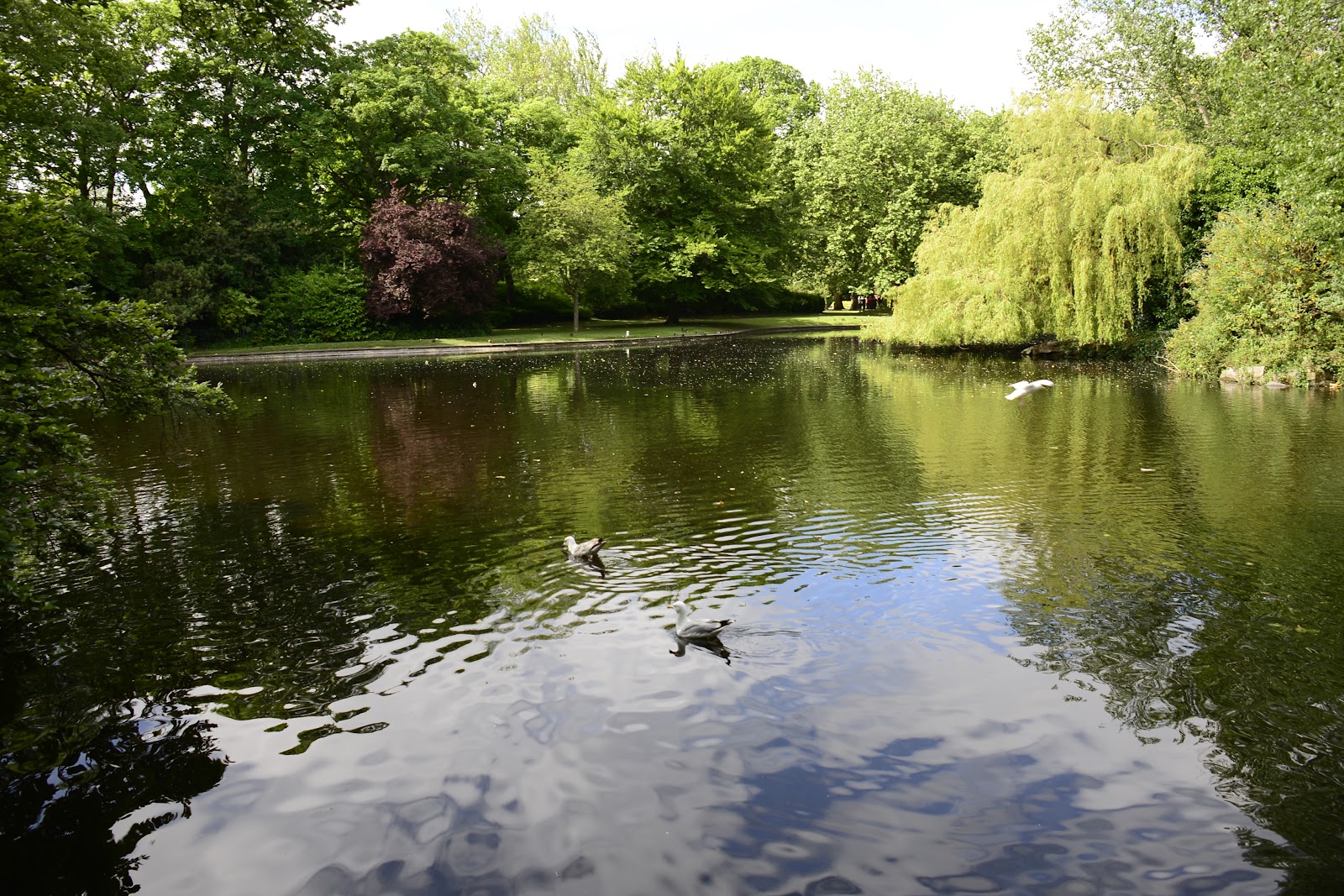 Picture of Stroll Through St. Stephen's Green