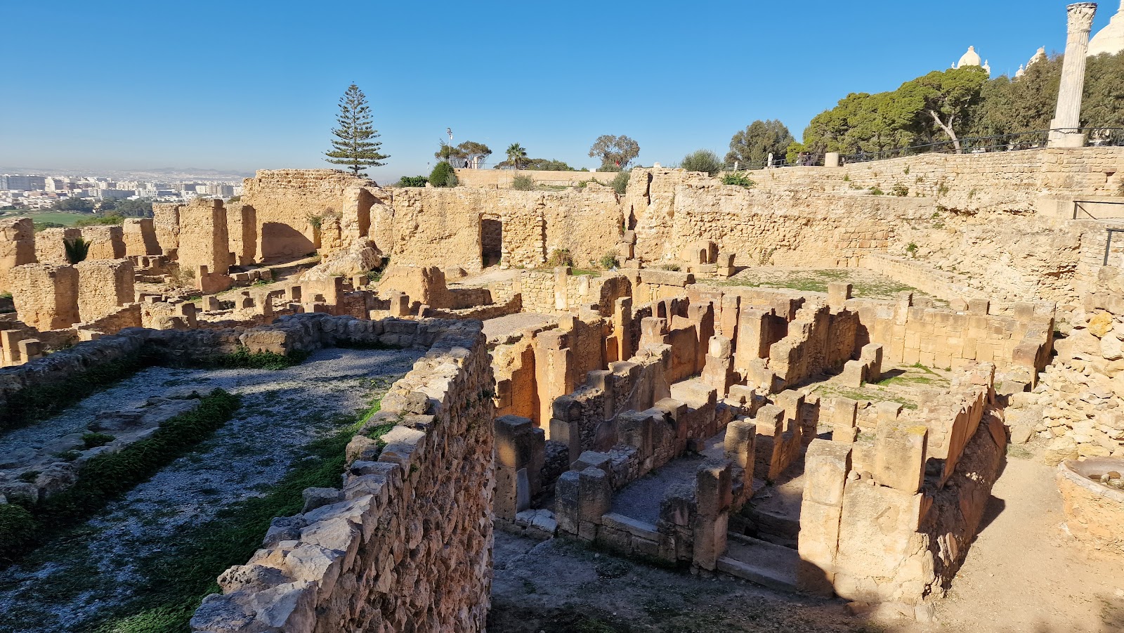 Picture of Explore the Carthage Ruins