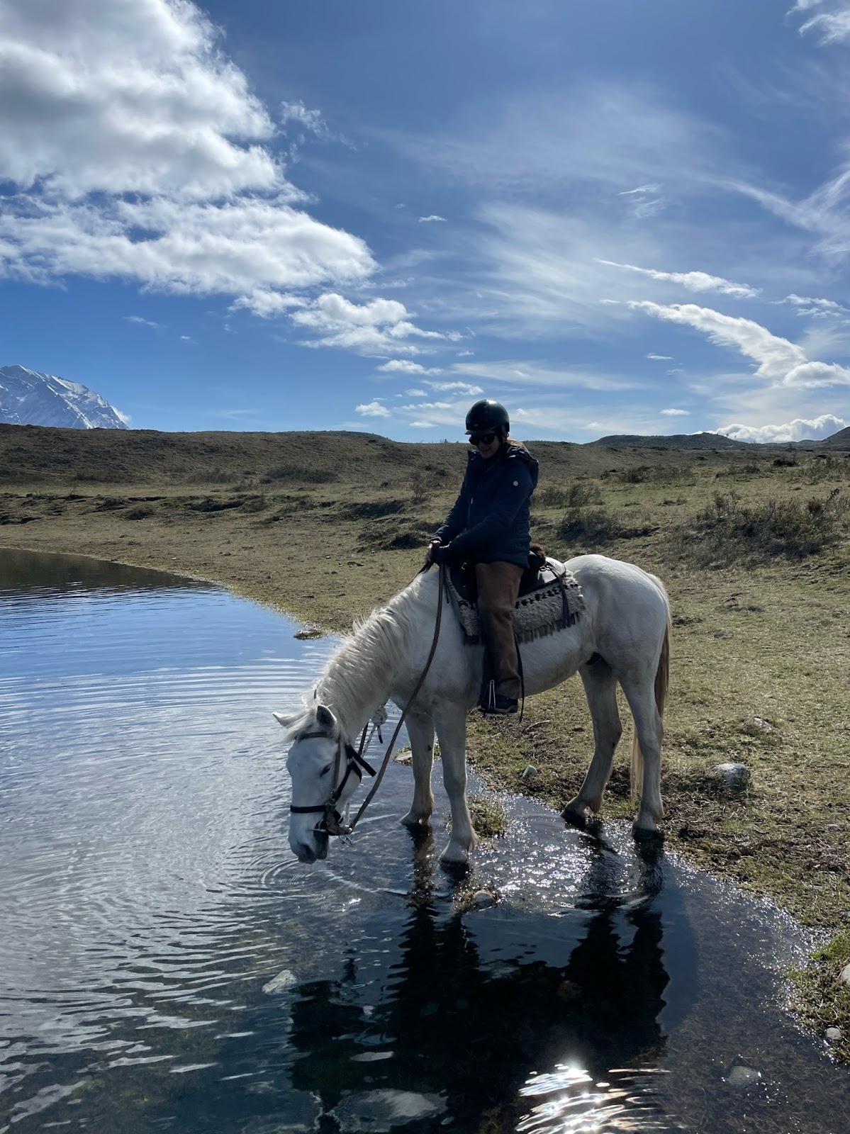 Picture of Engage in Horseback Riding