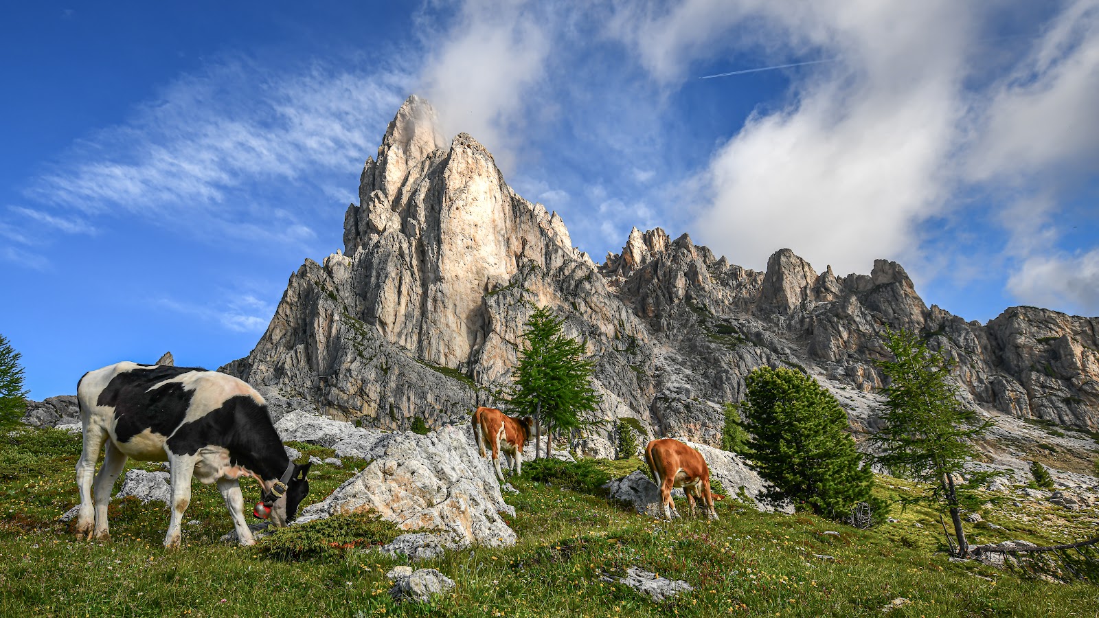 Picture of Take a Hike in the Dolomites