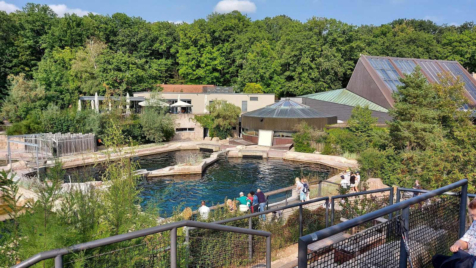 Picture of Enjoy a Day at the Tiergarten Nuremberg