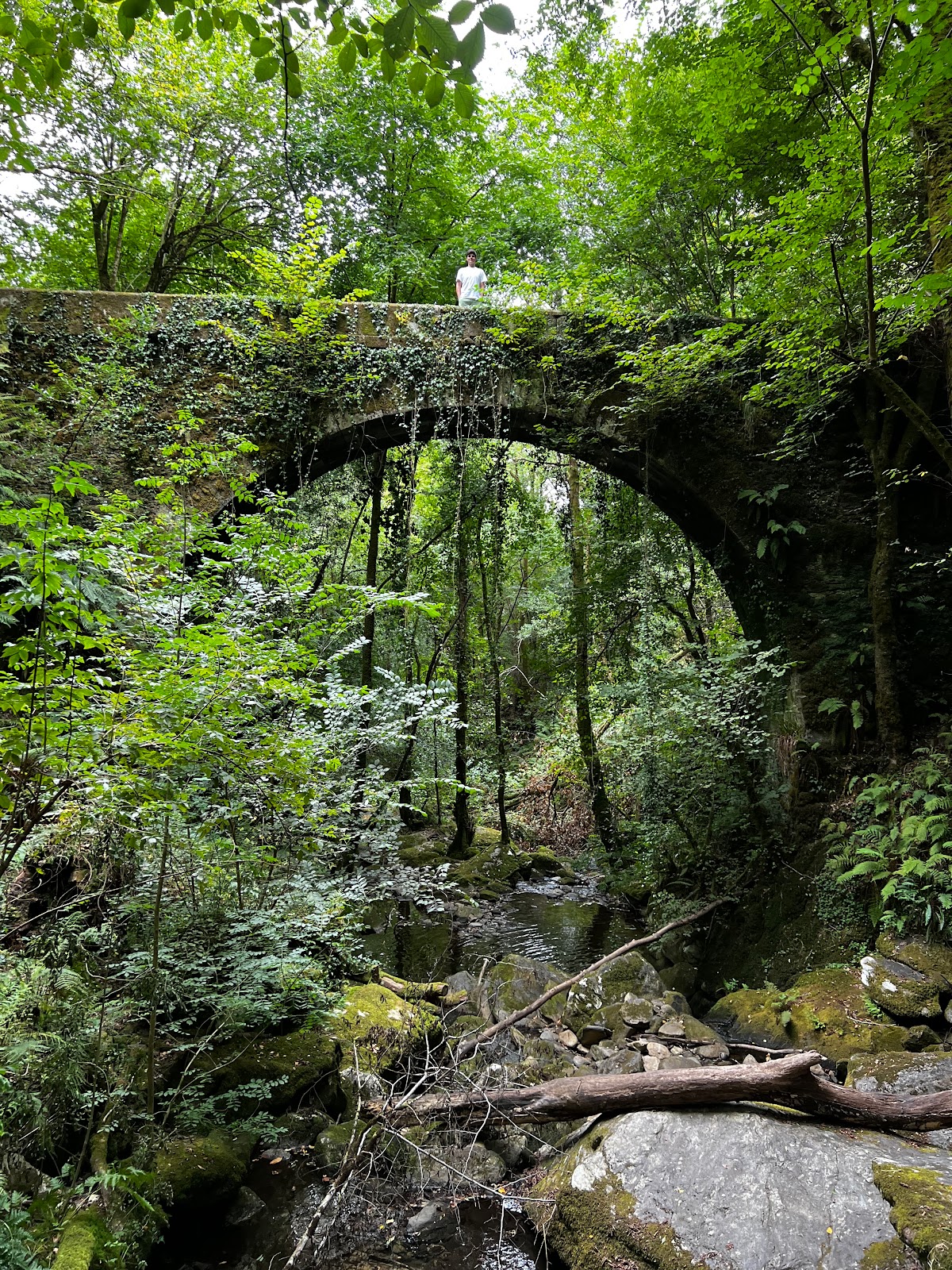 Picture of Hike the Fragas do Eume