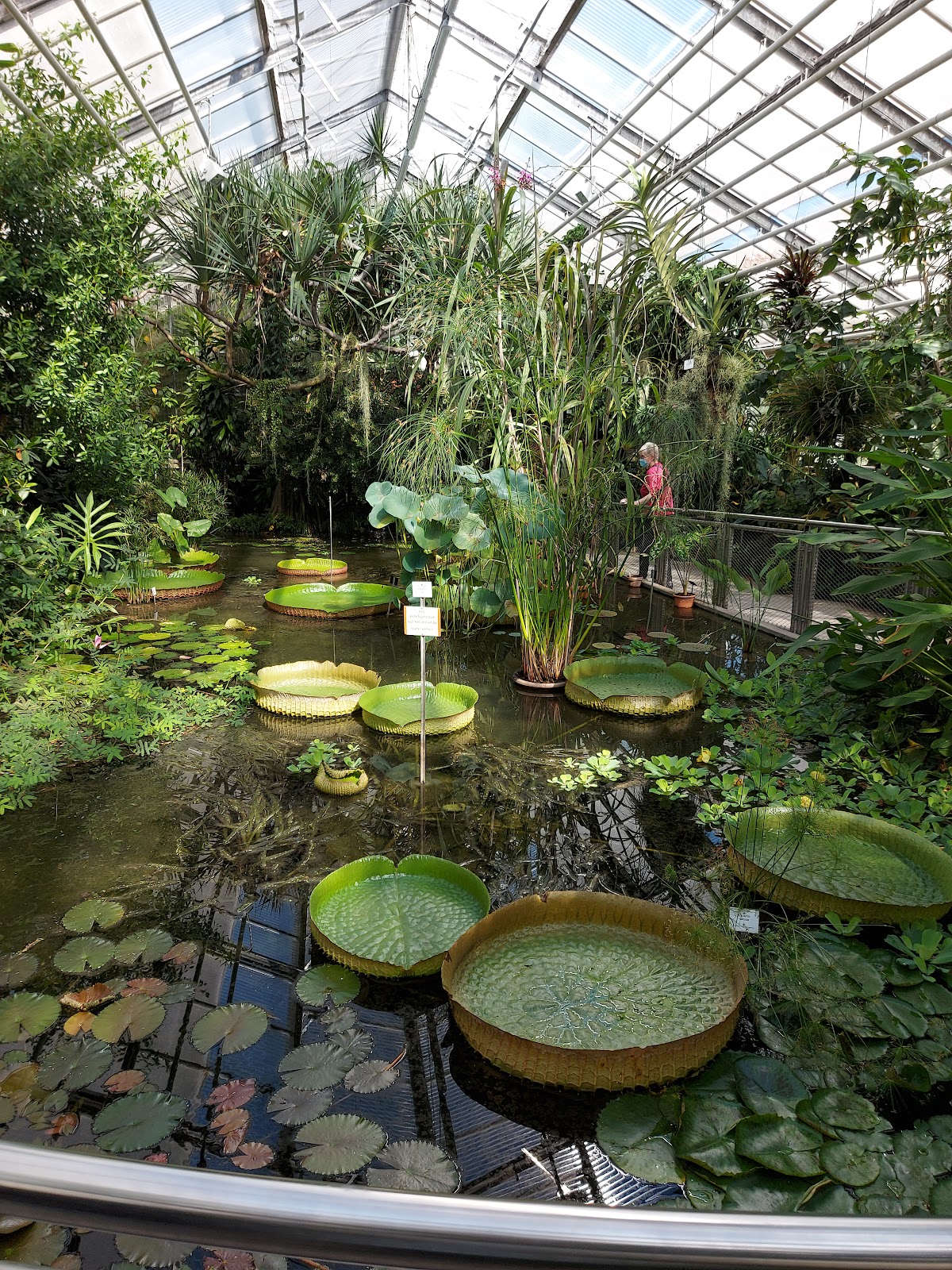 Picture of Visit the Botanical Garden