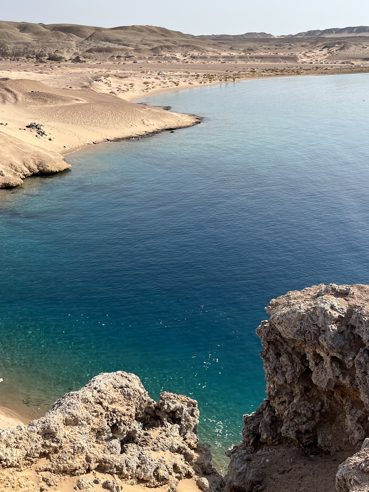 Picture of Explore Ras Mohammed National Park