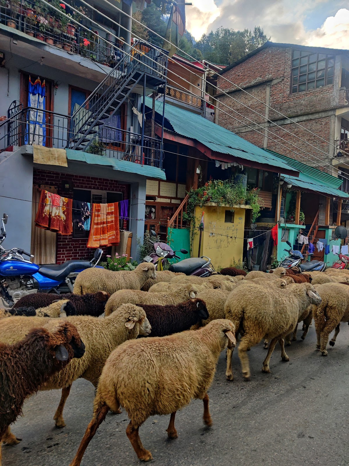 Picture of Explore Old Manali