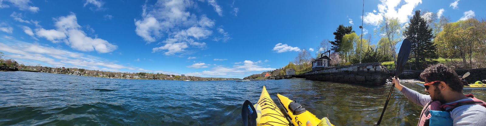 Picture of Kayak in the Halifax Harbour