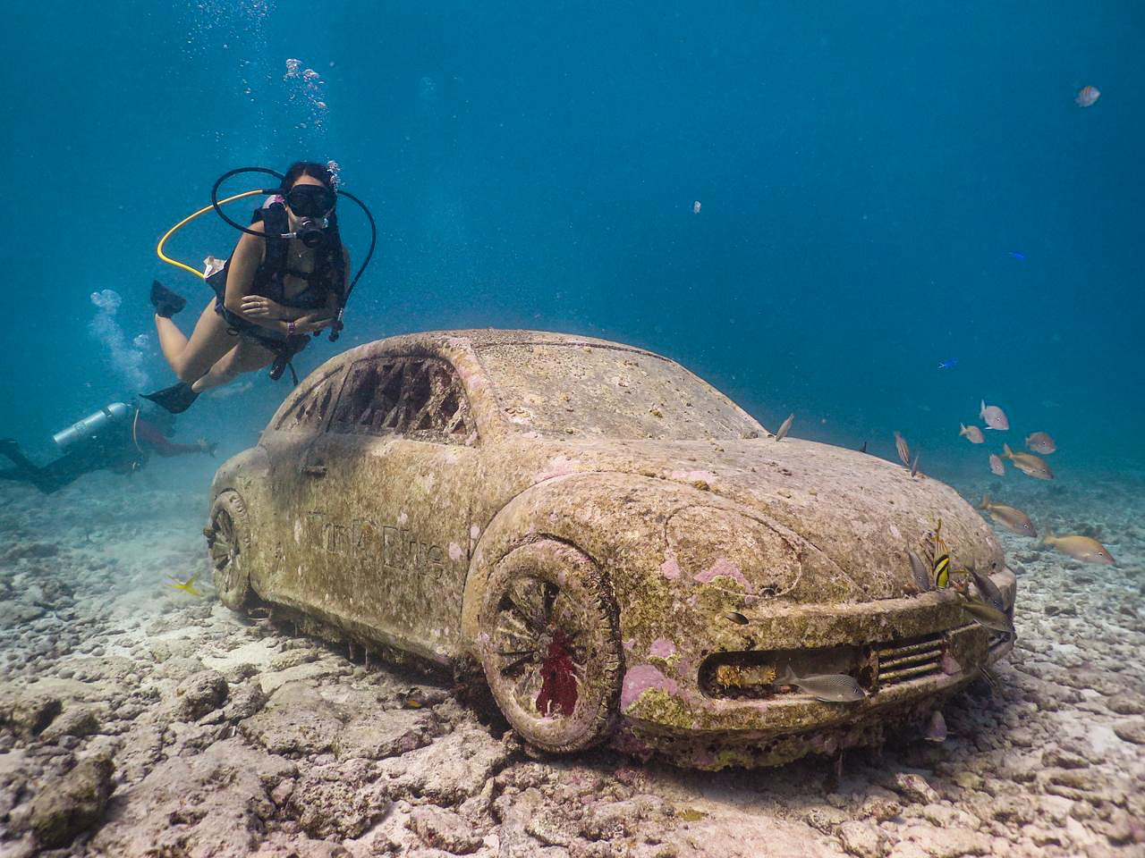 Picture of Dive into the Underwater Museum (MUSA)