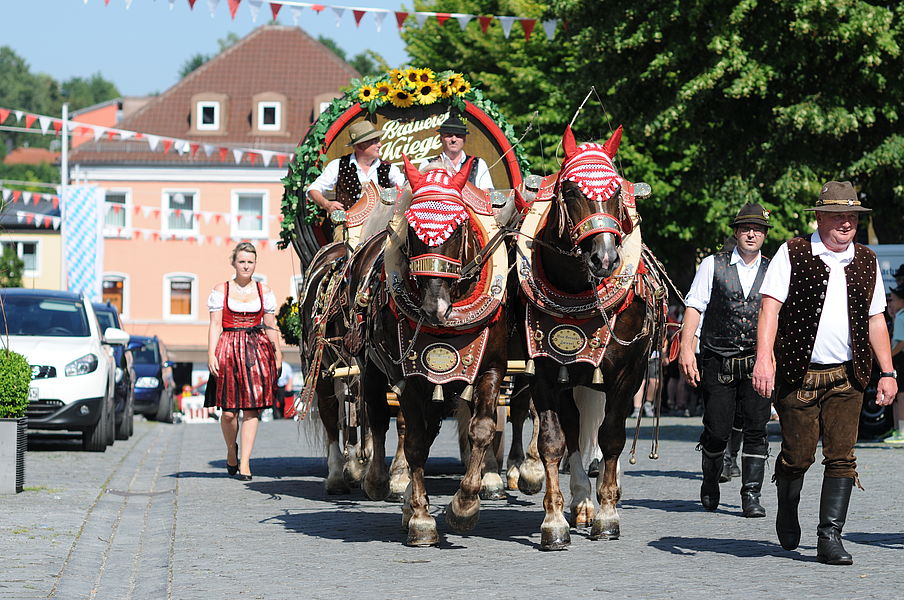 Picture of Attend the Landau Autumn Festival