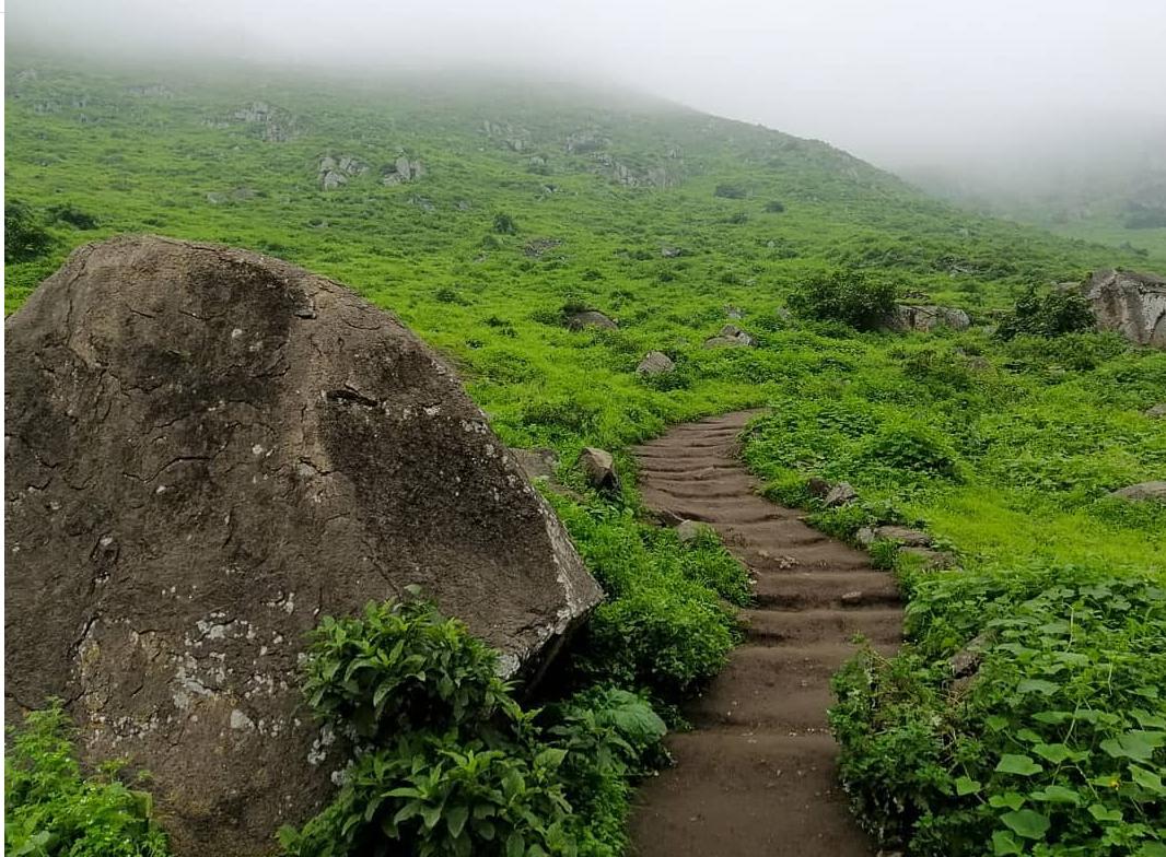 Picture of Hike the Lomas de Lúcumo