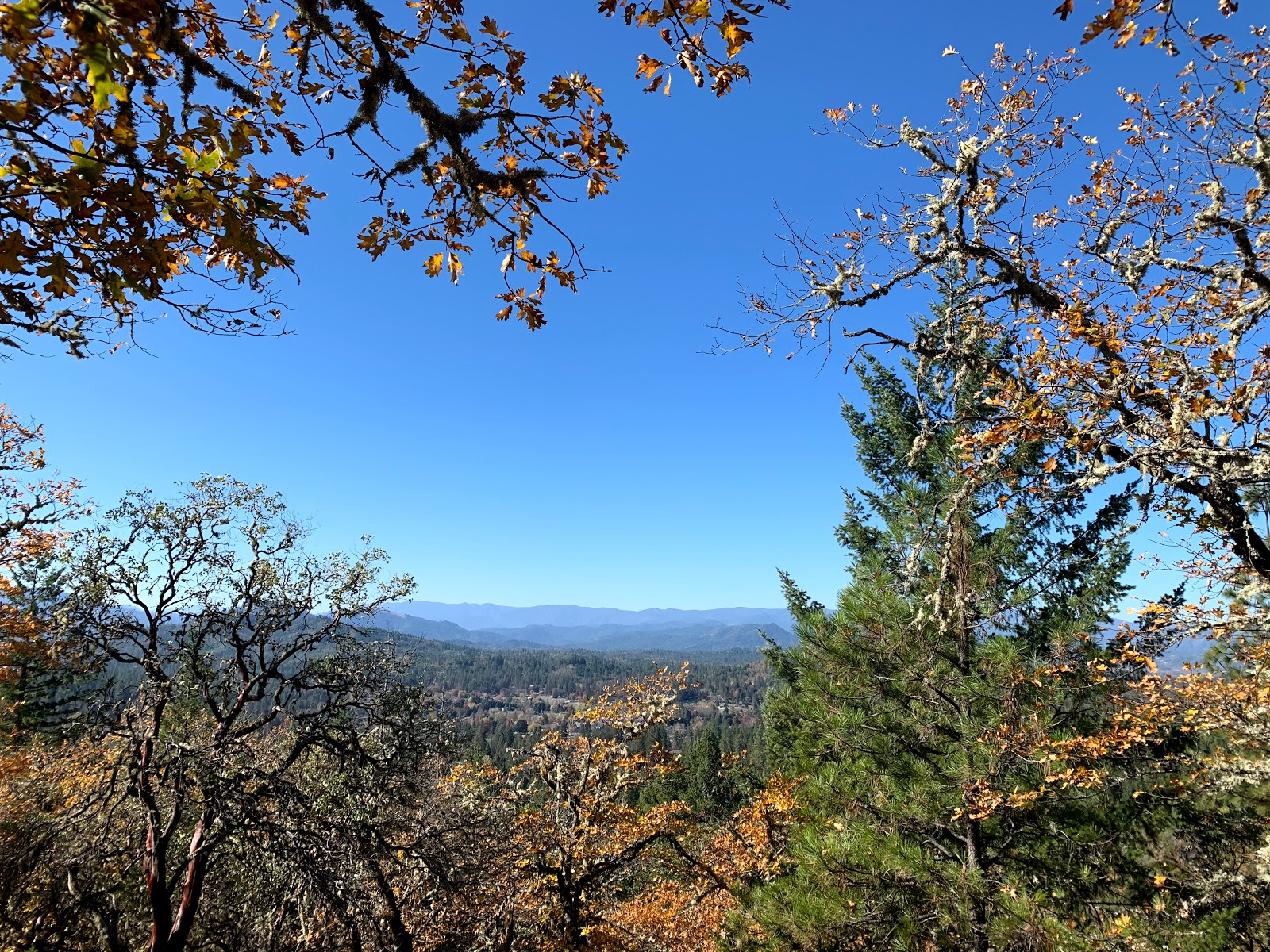 Picture of Hike the Cathedral Hills Trail System