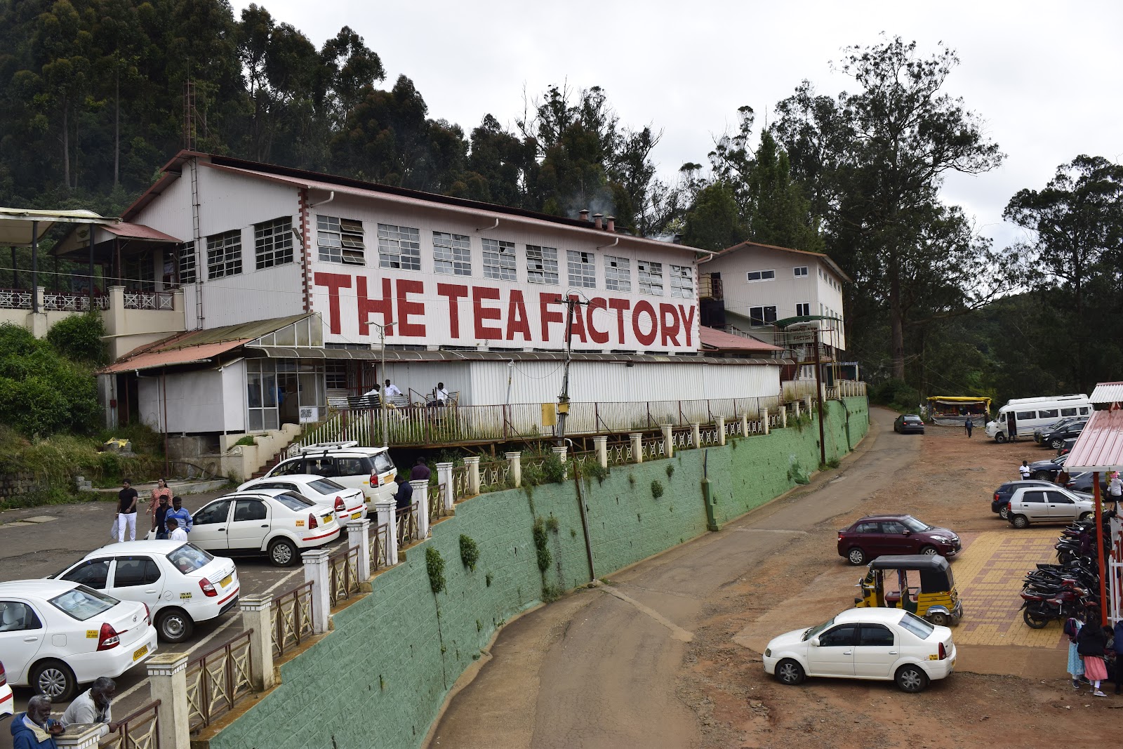 Picture of Savor Ooty's Tea