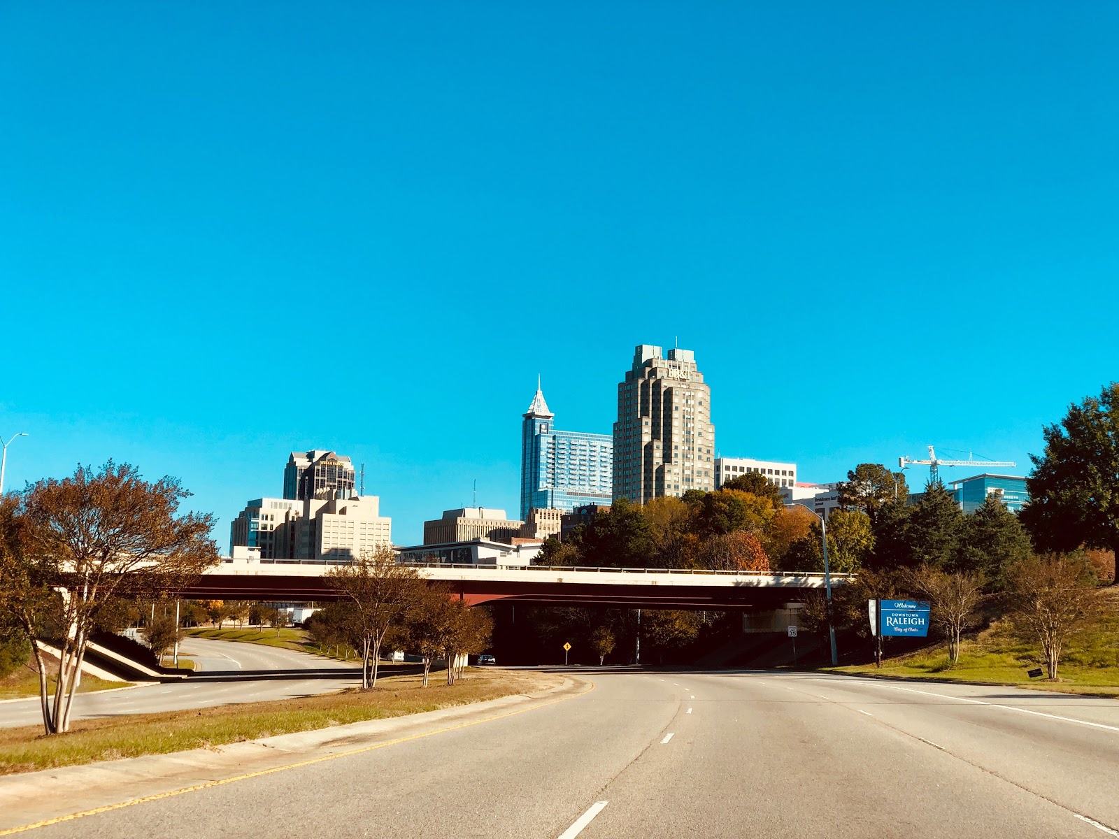 Picture of Raleigh