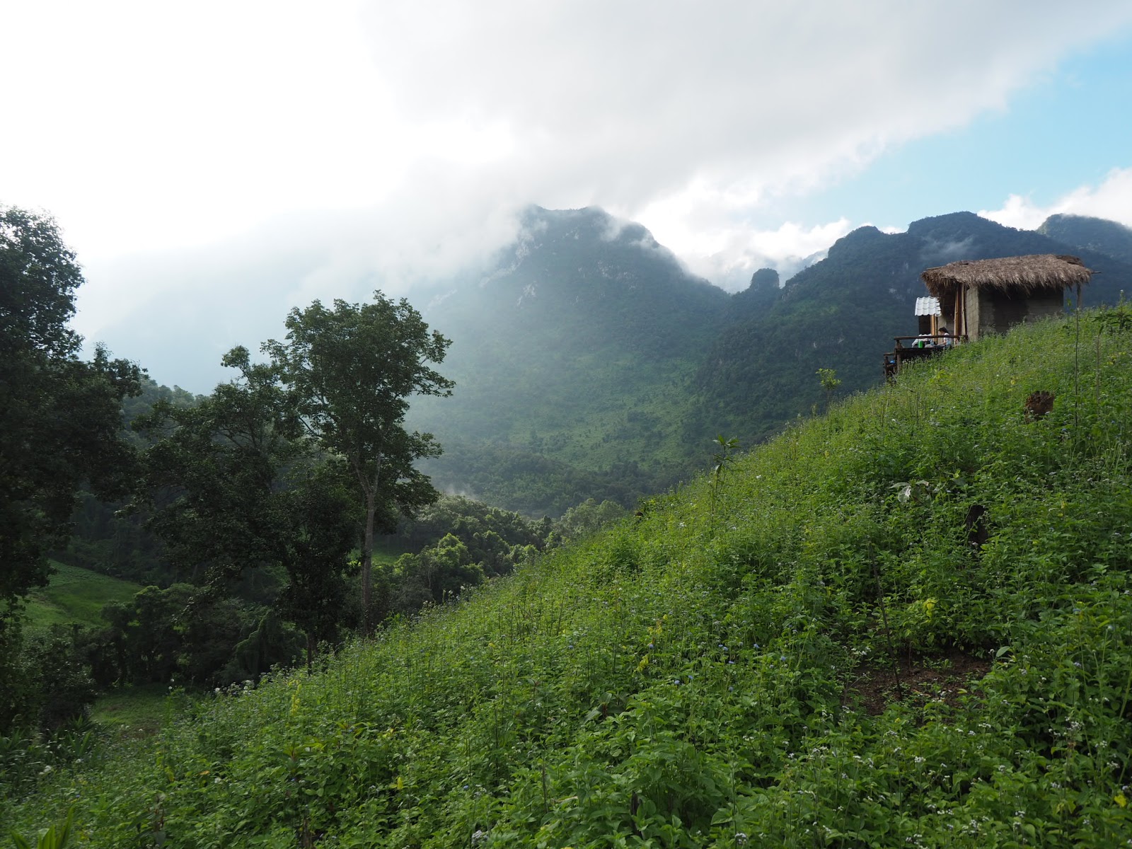 Picture of Chiang Mai